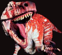 T-Rex in Australia