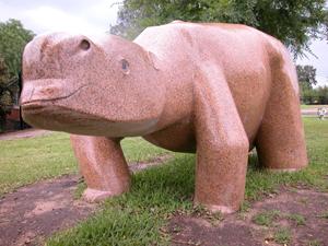 giant-wombat-sydney