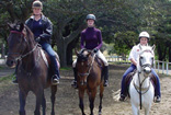 Horse Riding Centennial Park