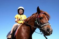 pony rides centennial park australia