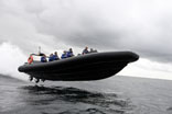 Speed Boat Sydney Harbour