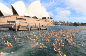 Swim in Sydney Harbour