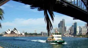 Sydney Ferry under the Harbour Bridge