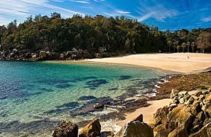 Shelly Beach (Manly)